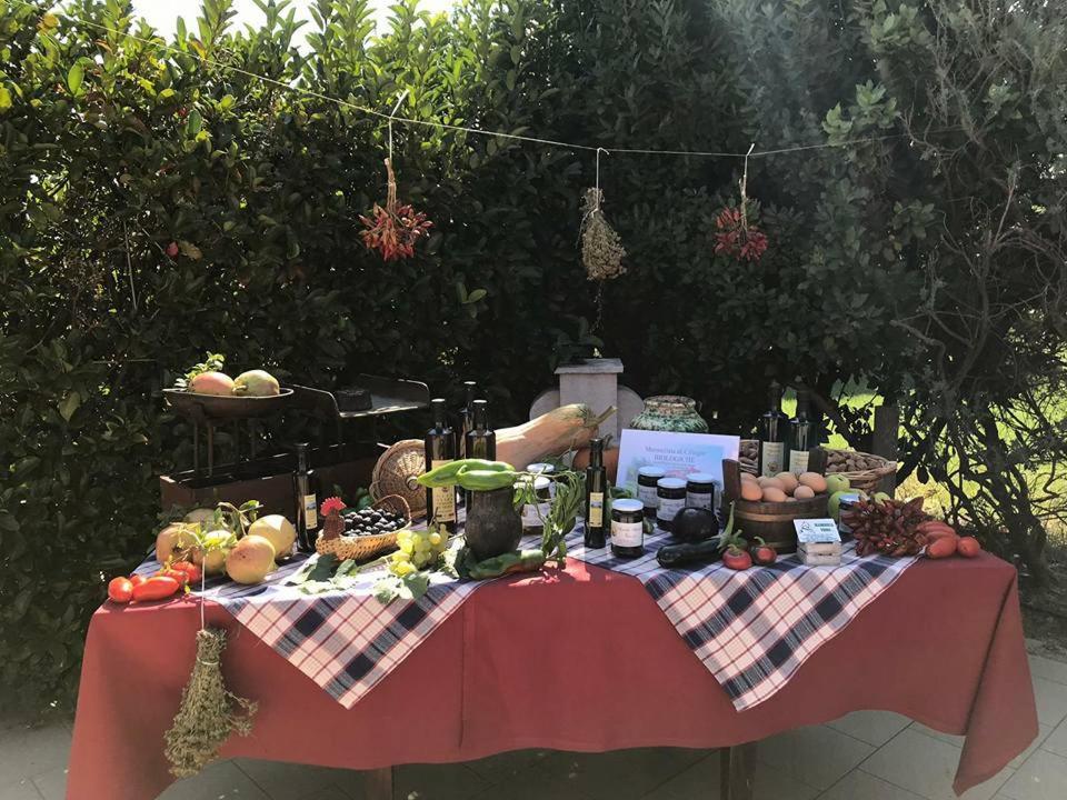 Palo del Colle Masseria Vero Bed & Breakfast エクステリア 写真